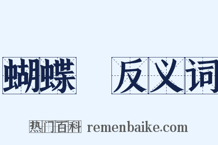 蝴蝶夢反义词是什么意思的图片